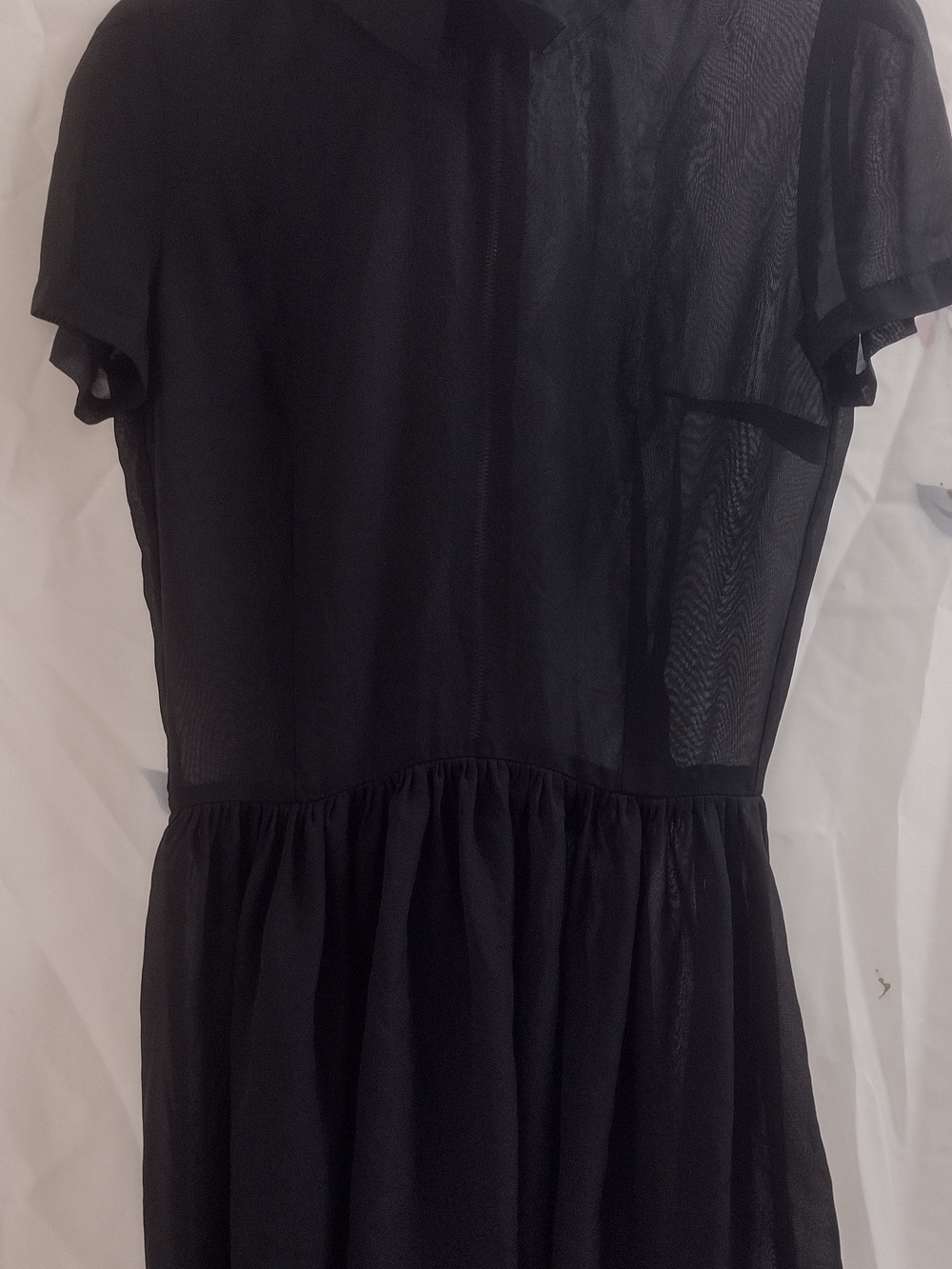 Sheer Black Short Sleeve Fit-and-Flare Dress